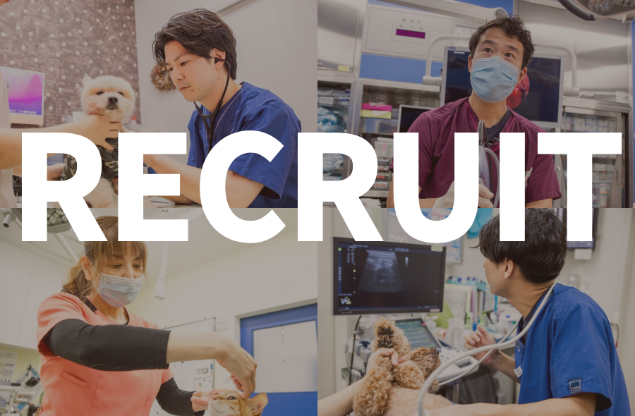 獣医師募集｜2027年4月新卒入社募集！！ - 武蔵国どうぶつ医療センター(旧たぐち動物病院）｜埼玉県久喜市・蓮田市・白岡市・幸手市・加須市・杉戸町・宮代町・上尾市・桶川市・北本市・鴻巣市・伊奈町・春日部市・さいたま市エリア