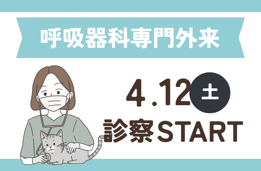 呼吸器科専門外来