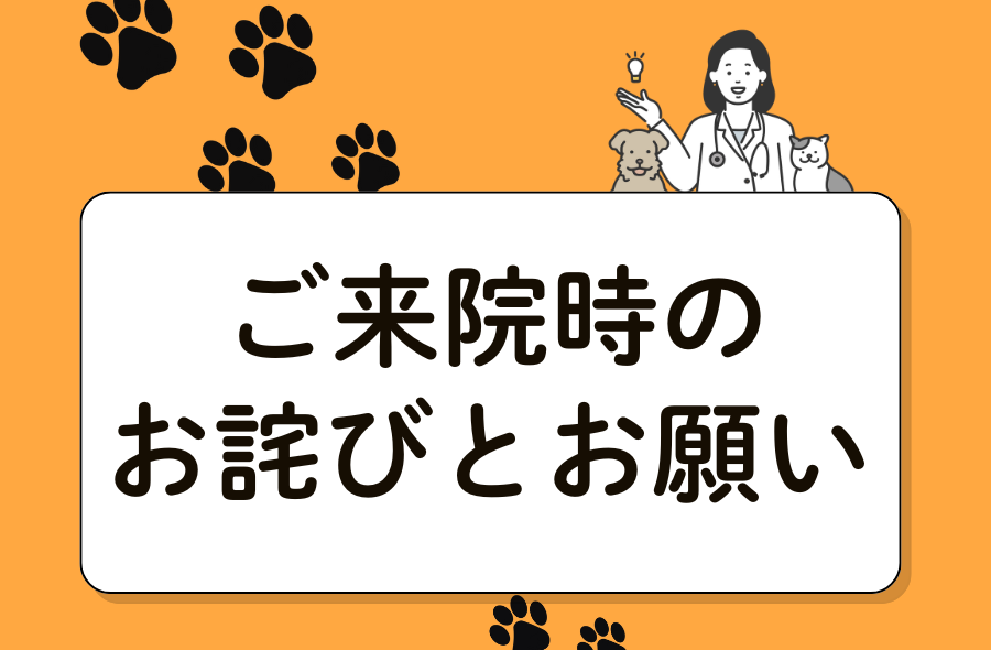 ご来院について｜武蔵国どうぶつ医療センター(旧たぐち動物病院）｜埼玉県久喜市・蓮田市・白岡市・幸手市・加須市・杉戸町・宮代町・上尾市・桶川市・北本市・鴻巣市・伊奈町・春日部市・さいたま市エリア