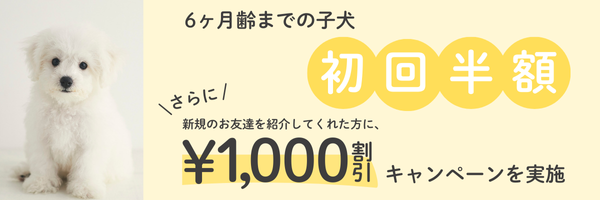 トリミングサロンでは只今お得なキャンペーンを実施中です