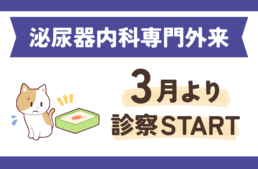 泌尿器内科専門外来～武蔵国どうぶつ医療センター(旧たぐち動物病院）｜埼玉県久喜市・蓮田市・白岡市・幸手市・加須市・杉戸町・宮代町・上尾市・桶川市・北本市・鴻巣市・伊奈町・春日部市・さいたま市エリア