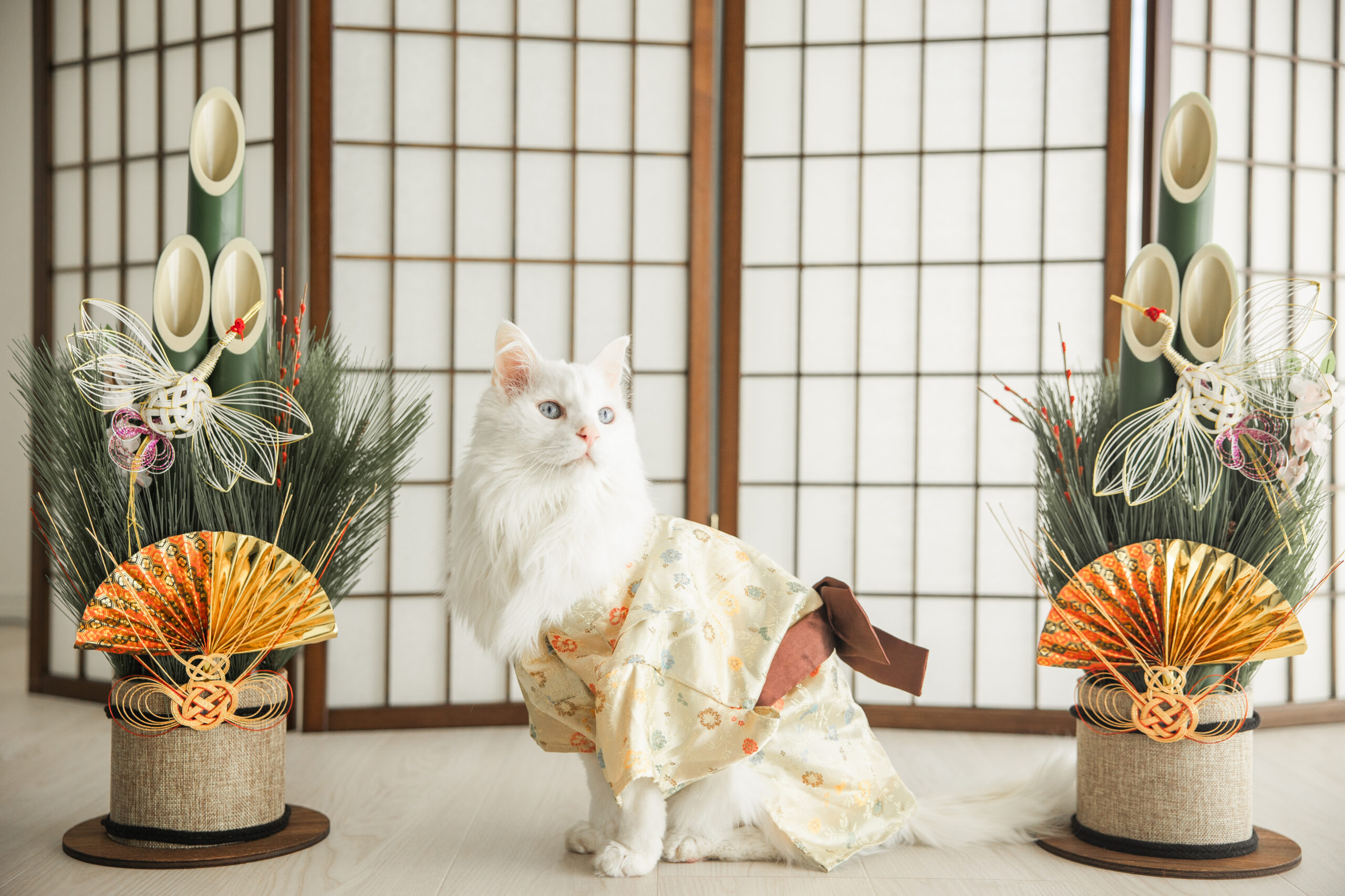 ライチ｜新年｜犬猫うさぎ専門動物病院｜埼玉県久喜市・蓮田市・白岡市・幸手市・加須市・杉戸町・宮代町・上尾市・桶川市・北本市・鴻巣市・伊奈町・春日部市・さいたま市エリア | 埼玉県久喜市・蓮田市・白岡市・幸手市・加須市・杉戸町・宮代町・上尾市・桶川市・北本市・鴻巣市・伊奈町・春日部市・さいたま市エリア