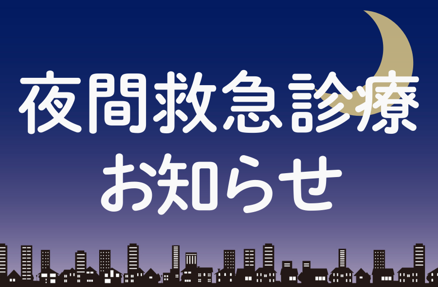 夜間救急診療 - 武蔵国どうぶつ医療センター(旧たぐち動物病院）｜埼玉県久喜市・蓮田市・白岡市・幸手市・加須市・杉戸町・宮代町・上尾市・桶川市・北本市・鴻巣市・伊奈町・春日部市・さいたま市エリア