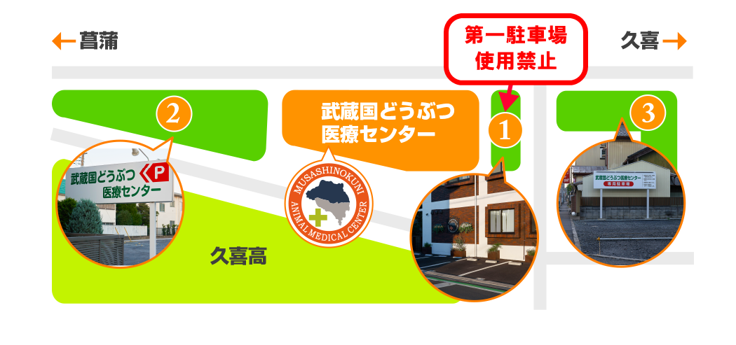 第一駐車場のご案内～武蔵国どうぶつ医療センター(旧たぐち動物病院）｜埼玉県久喜市・蓮田市・白岡市・幸手市・加須市・杉戸町・宮代町・上尾市・桶川市・北本市・鴻巣市・伊奈町・春日部市・さいたま市エリア