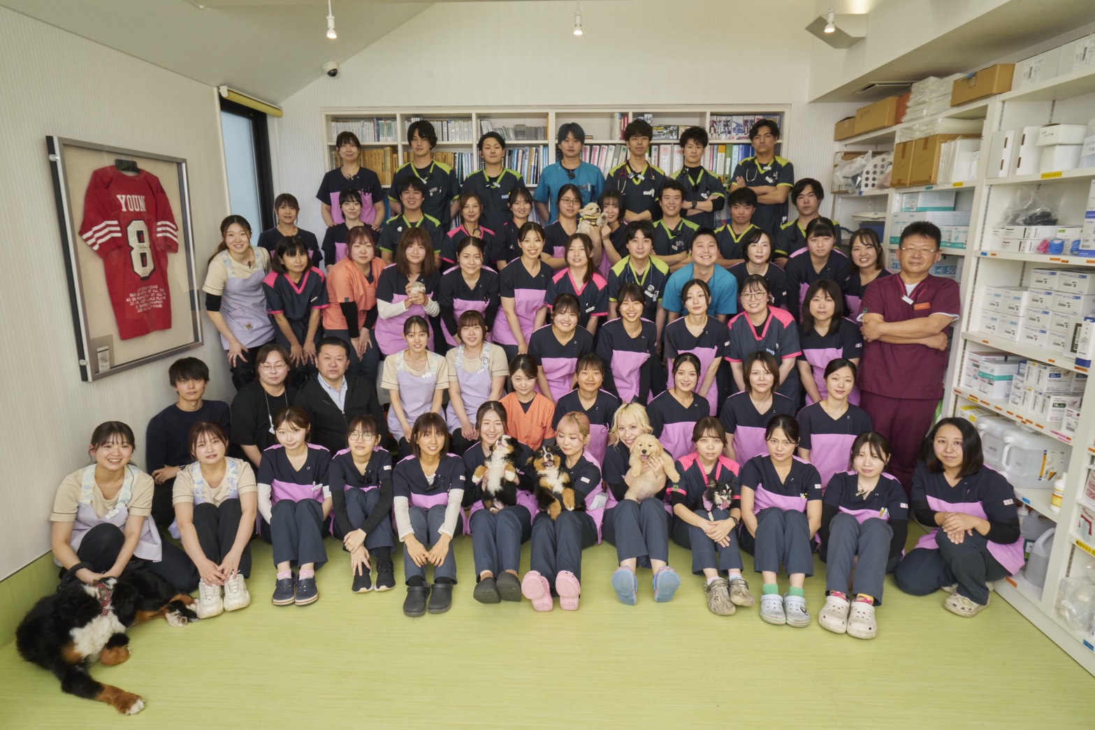 新年｜犬猫うさぎ専門動物病院｜埼玉県久喜市・蓮田市・白岡市・幸手市・加須市・杉戸町・宮代町・上尾市・桶川市・北本市・鴻巣市・伊奈町・春日部市・さいたま市エリア